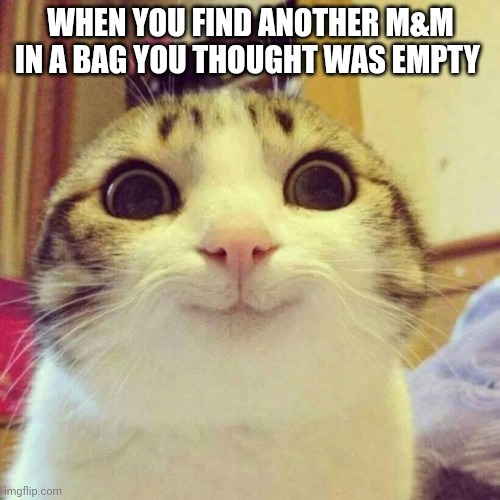 Smiling Cat | WHEN YOU FIND ANOTHER M&M IN A BAG YOU THOUGHT WAS EMPTY | image tagged in memes,smiling cat | made w/ Imgflip meme maker