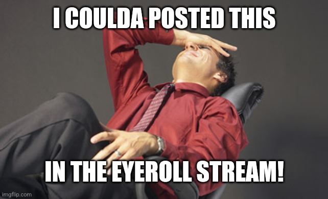 Facepalm guy 2 | I COULDA POSTED THIS IN THE EYEROLL STREAM! | image tagged in facepalm guy 2 | made w/ Imgflip meme maker