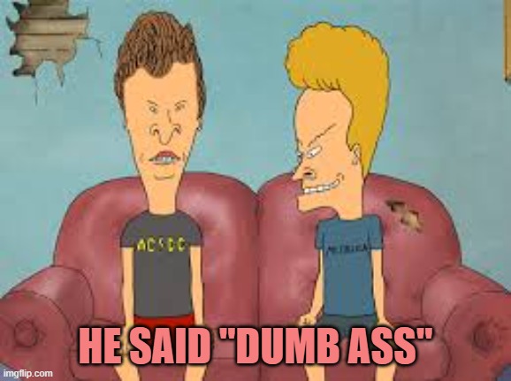 Bevis n Butthead | HE SAID "DUMB ASS" | image tagged in bevis n butthead | made w/ Imgflip meme maker