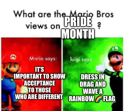 I guess they both like it | PRIDE MONTH; IT’S IMPORTANT TO SHOW ACCEPTANCE TO THOSE WHO ARE DIFFERENT; DRESS IN DRAG AND WAVE A RAINBOW 🌈 FLAG | image tagged in mario brothers veiws,pride month | made w/ Imgflip meme maker