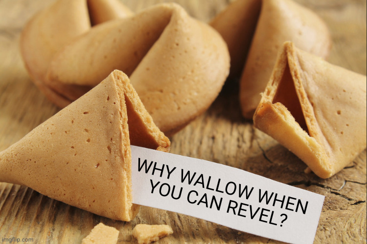 The cookie has a point | WHY WALLOW WHEN
YOU CAN REVEL? | image tagged in chinese fortune cookie | made w/ Imgflip meme maker