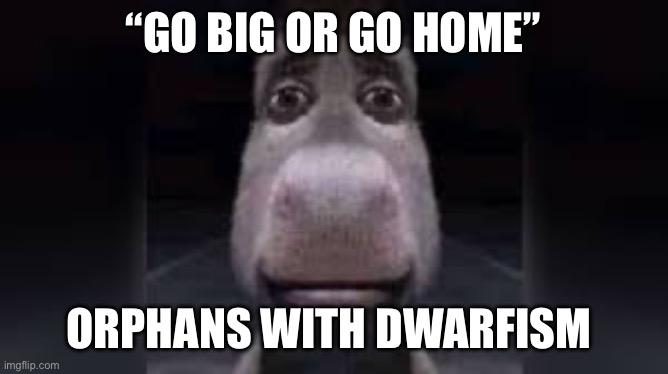 donkey sad face | “GO BIG OR GO HOME”; ORPHANS WITH DWARFISM | image tagged in look at the tag you wont | made w/ Imgflip meme maker