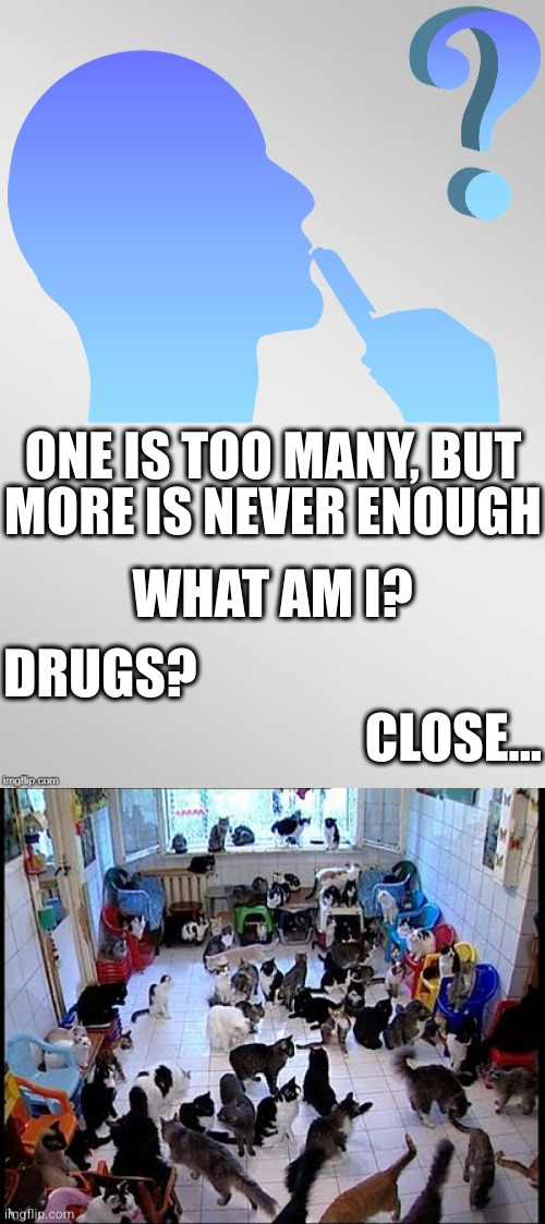 I don't have a problem, I can quit whenever I want | ONE IS TOO MANY, BUT
MORE IS NEVER ENOUGH; WHAT AM I? DRUGS? CLOSE... | image tagged in riddle template,crazy cat lady | made w/ Imgflip meme maker