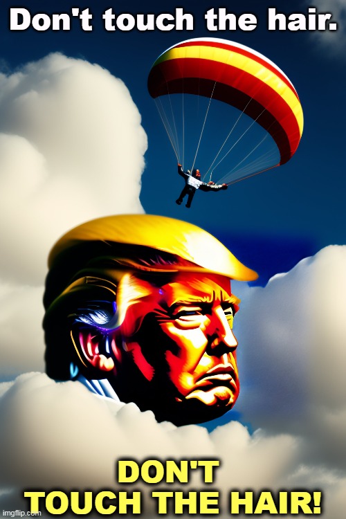 Don't touch the hair. DON'T 
TOUCH THE HAIR! | image tagged in trump,hair,vanity,malignant narcissism,malignant narcissist | made w/ Imgflip meme maker