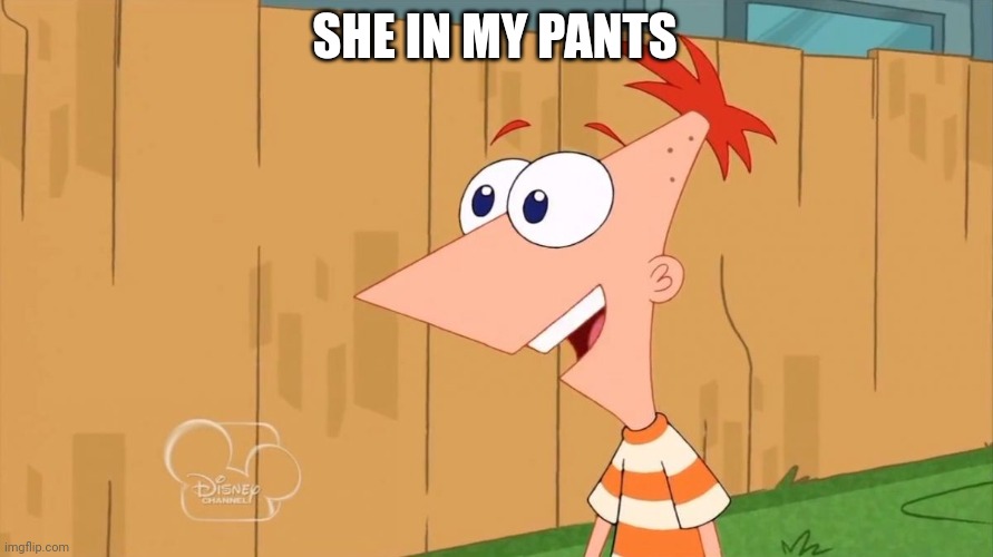 Yes Phineas | SHE IN MY PANTS | image tagged in yes phineas | made w/ Imgflip meme maker