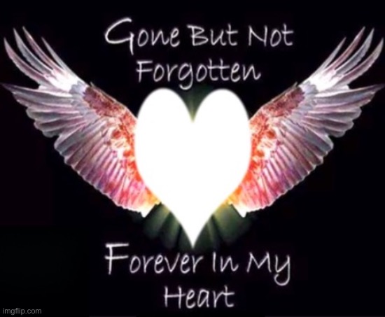 Gone but not forgotten forever in my heart | image tagged in gone but not forgotten forever in my heart | made w/ Imgflip meme maker