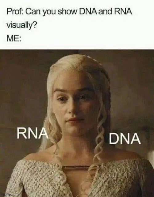 DNA vs RNA | image tagged in dna,rna | made w/ Imgflip meme maker