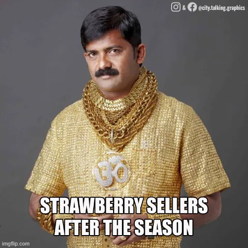 Strawberries sellers after the season | image tagged in strawberries,easymoney | made w/ Imgflip meme maker