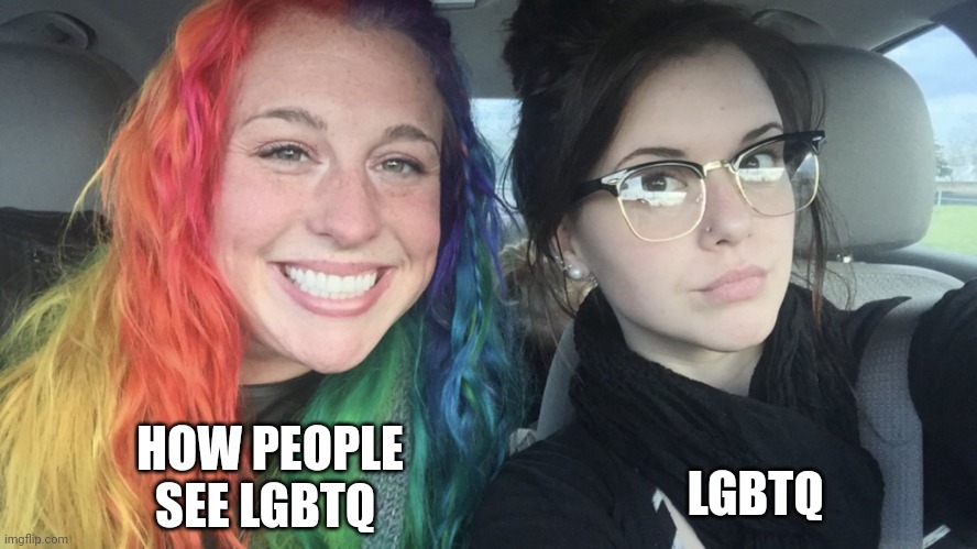 rainbow hair and goth | HOW PEOPLE SEE LGBTQ; LGBTQ | image tagged in rainbow hair and goth | made w/ Imgflip meme maker