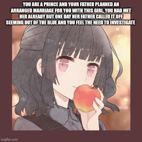 Basic rules apply. straight / bi males plz | YOU ARE A PRINCE AND YOUR FATHER PLANNED AN ARRANGED MARRIAGE FOR YOU WITH THIS GIRL, YOU HAD MET HER ALREADY BUT ONE DAY HER FATHER CALLED IT OFF SEEMING OUT OF THE BLUE AND YOU FEEL THE NEED TO INVESTIGATE | made w/ Imgflip meme maker