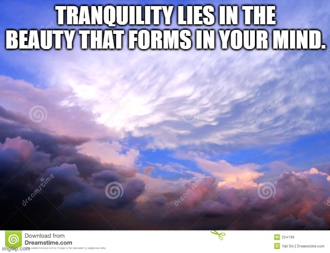 TRANQUILITY LIES IN THE BEAUTY THAT FORMS IN YOUR MIND. | made w/ Imgflip meme maker