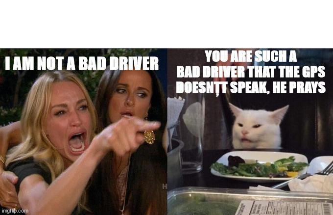 Bad driver | YOU ARE SUCH A BAD DRIVER THAT THE GPS DOESNȚT SPEAK, HE PRAYS; I AM NOT A BAD DRIVER | image tagged in memes,woman yelling at cat | made w/ Imgflip meme maker