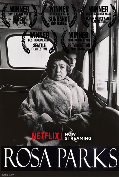 Rosa Parks | image tagged in funny memes,funny,movie poster | made w/ Imgflip meme maker