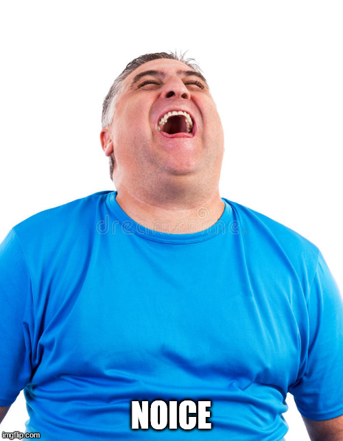 Chubby Guy Laughing | NOICE | image tagged in chubby guy laughing | made w/ Imgflip meme maker