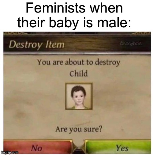 You are about to destroy Child | Feminists when their baby is male: | image tagged in you are about to destroy child,feminist,male,baby | made w/ Imgflip meme maker