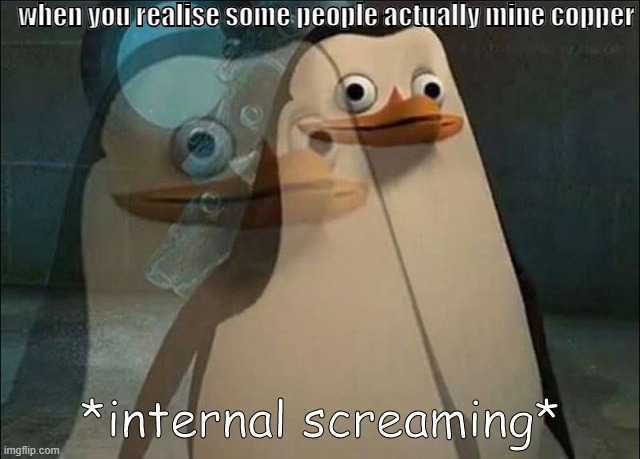 welp | when you realise some people actually mine copper | image tagged in private internal screaming | made w/ Imgflip meme maker