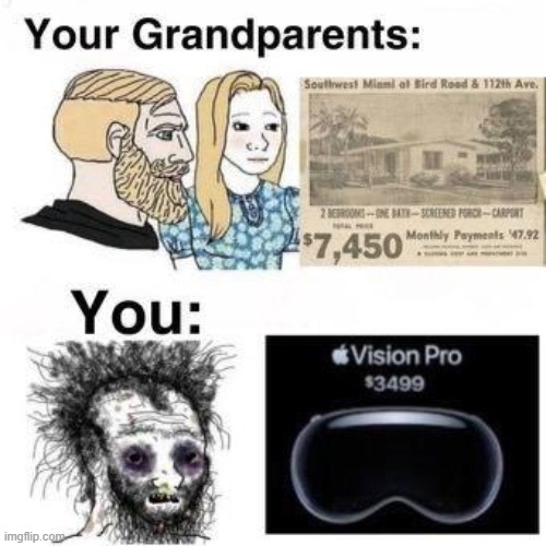 me fr | image tagged in vision pro,vr | made w/ Imgflip meme maker