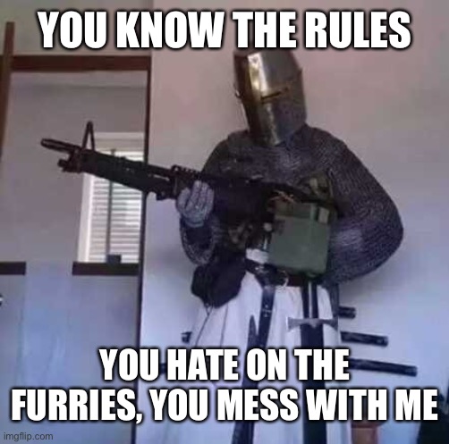 Crusader knight with M60 Machine Gun | YOU KNOW THE RULES YOU HATE ON THE FURRIES, YOU MESS WITH ME | image tagged in crusader knight with m60 machine gun | made w/ Imgflip meme maker