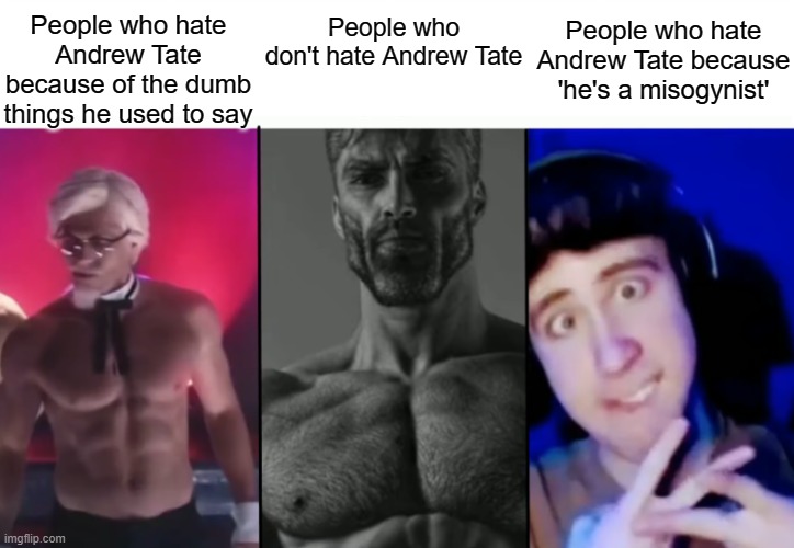 Colonel Sanders vs Gigachad vs Femboy | People who hate Andrew Tate because of the dumb things he used to say; People who hate Andrew Tate because 'he's a misogynist'; People who don't hate Andrew Tate | image tagged in colonel sanders vs gigachad vs femboy,andrew tate | made w/ Imgflip meme maker