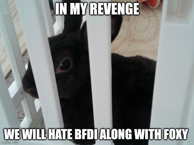 Coconut | IN MY REVENGE; WE WILL HATE BFDI ALONG WITH FOXY | image tagged in coconut | made w/ Imgflip meme maker