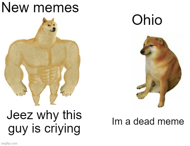 Buff Doge vs. Cheems Meme | New memes; Ohio; Jeez why this guy is criying; Im a dead meme | image tagged in memes,buff doge vs cheems | made w/ Imgflip meme maker