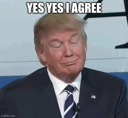 Trump Nod | YES YES I AGREE | image tagged in trump nod | made w/ Imgflip meme maker