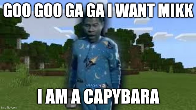 goo goo ga ga i want milk | GOO GOO GA GA I WANT MIKK; I AM A CAPYBARA | image tagged in capybara | made w/ Imgflip meme maker