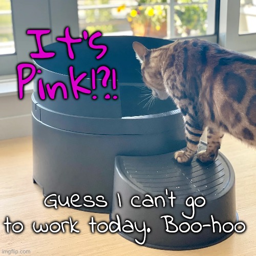 Guess I can’t go to work today. Boo-hoo It’s Pink!?! | made w/ Imgflip meme maker