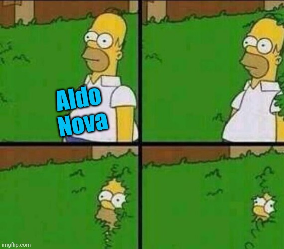 Homer Simpson in Bush - Large | Aldo Nova | image tagged in homer simpson in bush - large | made w/ Imgflip meme maker