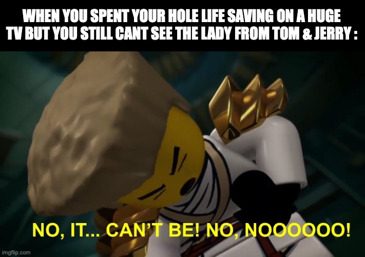 waisted... | WHEN YOU SPENT YOUR HOLE LIFE SAVING ON A HUGE TV BUT YOU STILL CANT SEE THE LADY FROM TOM & JERRY : | image tagged in no it can't be,funny,memes,relatable memes,true story,tom and jerry | made w/ Imgflip meme maker