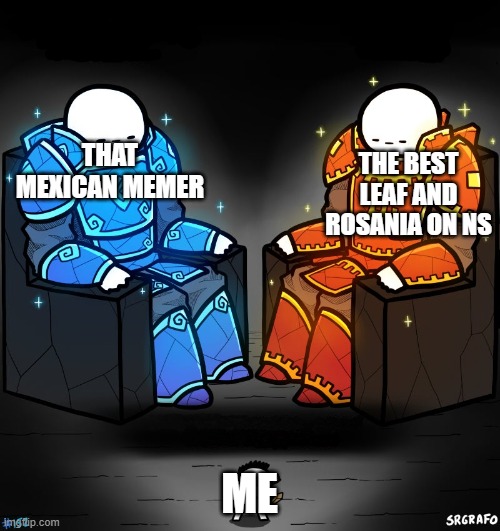 2 gods and a peasant | THAT MEXICAN MEMER ME THE BEST LEAF AND ROSANIA ON NS | image tagged in 2 gods and a peasant | made w/ Imgflip meme maker