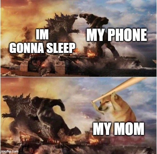 Kong Godzilla Doge | MY PHONE; IM GONNA SLEEP; MY MOM | image tagged in kong godzilla doge | made w/ Imgflip meme maker