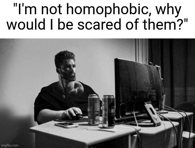 Gigachad On The Computer | "I'm not homophobic, why would I be scared of them?" | image tagged in gigachad on the computer | made w/ Imgflip meme maker