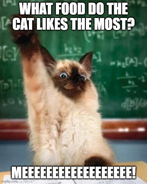 answer cat | WHAT FOOD DO THE CAT LIKES THE MOST? MEEEEEEEEEEEEEEEEEE! | image tagged in answer cat | made w/ Imgflip meme maker