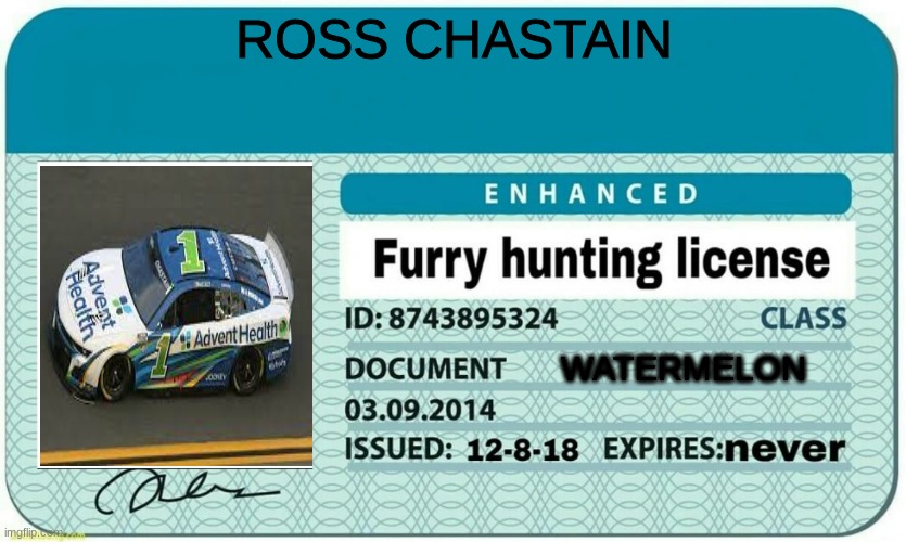 since when he got it | ROSS CHASTAIN; WATERMELON | image tagged in furry hunting license | made w/ Imgflip meme maker