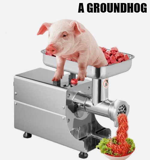 a groundhog | A GROUNDHOG | image tagged in a groundhog,by kewlew | made w/ Imgflip meme maker