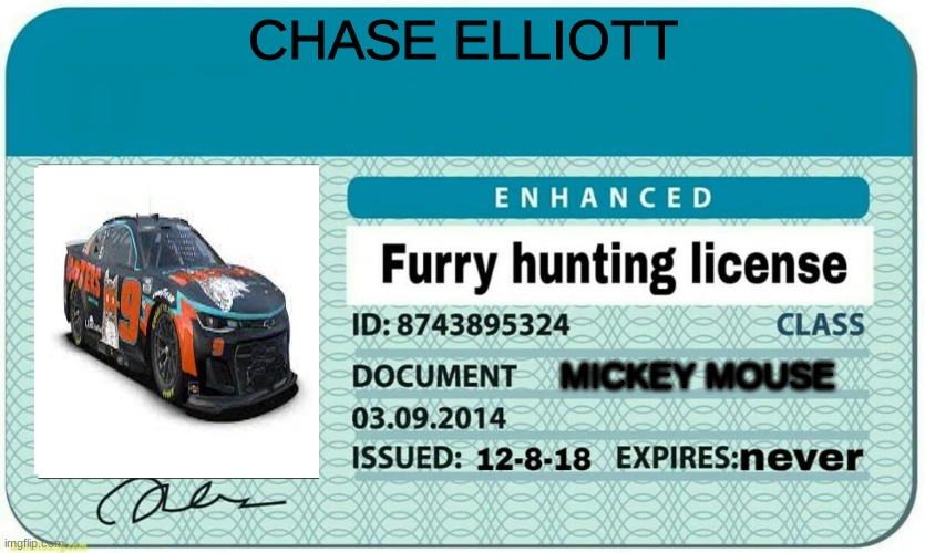 m i c k e y  m o u s e thats him | CHASE ELLIOTT; MICKEY MOUSE | image tagged in furry hunting license | made w/ Imgflip meme maker