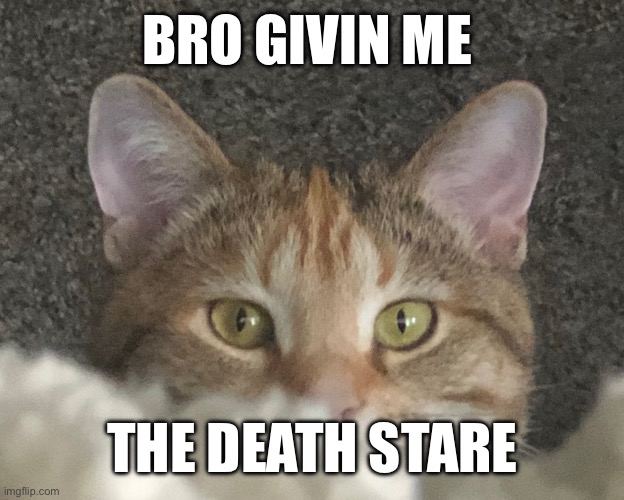 The death stare | BRO GIVIN ME; THE DEATH STARE | image tagged in memes | made w/ Imgflip meme maker