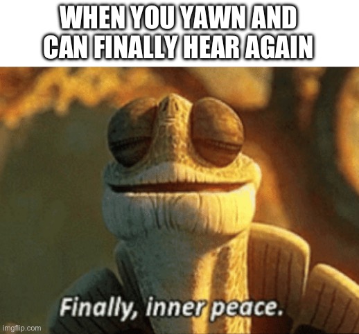 Mmmm, inner peace | WHEN YOU YAWN AND CAN FINALLY HEAR AGAIN | image tagged in finally inner peace,relatable | made w/ Imgflip meme maker