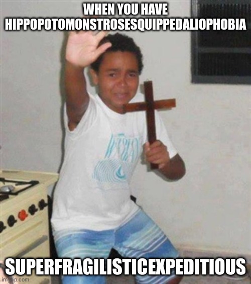 STAY BACK | WHEN YOU HAVE HIPPOPOTOMONSTROSESQUIPPEDALIOPHOBIA; SUPERFRAGILISTICEXPEDITIOUS | image tagged in stay back you demon | made w/ Imgflip meme maker