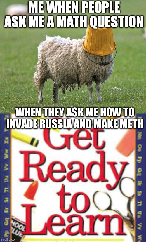 Time for schol kcids | ME WHEN PEOPLE ASK ME A MATH QUESTION; WHEN THEY ASK ME HOW TO INVADE RUSSIA AND MAKE METH | image tagged in stupid sheep | made w/ Imgflip meme maker