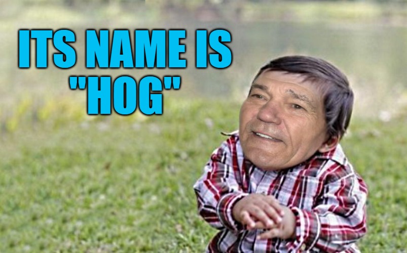 evil-kewlew-toddler | ITS NAME IS 

"HOG" | image tagged in evil-kewlew-toddler | made w/ Imgflip meme maker