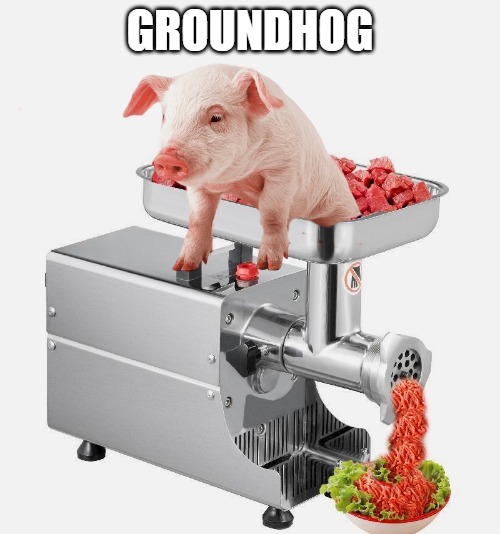 groundhog | GROUNDHOG | image tagged in groundhog,by kewlew | made w/ Imgflip meme maker