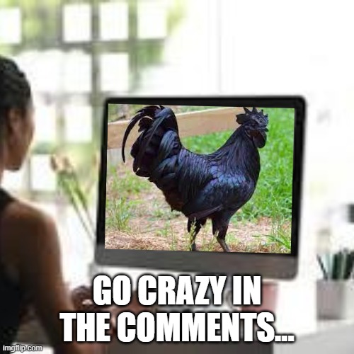 GO CRAZY IN THE COMMENTS... | made w/ Imgflip meme maker