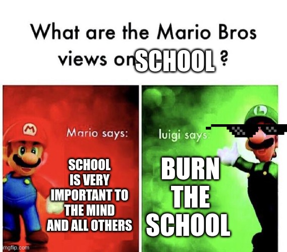 Don't talk to Luigi about school | SCHOOL; SCHOOL IS VERY IMPORTANT TO THE MIND AND ALL OTHERS; BURN THE SCHOOL | image tagged in mario bros views | made w/ Imgflip meme maker