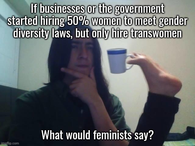 The laws have been followed | If businesses or the government started hiring 50% women to meet gender diversity laws, but only hire transwomen; What would feminists say? | image tagged in hmmmm,memes,politics | made w/ Imgflip meme maker
