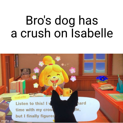 AWWWWWWWWWWWWW | Bro's dog has a crush on Isabelle | image tagged in nintendo,animal crossing | made w/ Imgflip meme maker