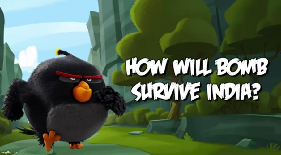 here a question: | image tagged in funny,memes,angry birds,bomb,india | made w/ Imgflip meme maker