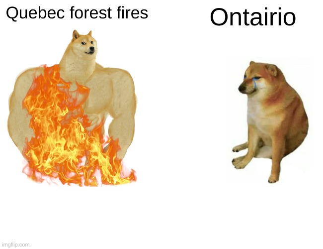 Buff Doge vs. Cheems Meme | Quebec forest fires; Ontairio | image tagged in memes,buff doge vs cheems | made w/ Imgflip meme maker