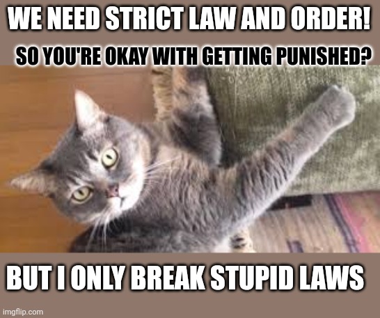 This #lolcat wonders if people actually want strict law and order | WE NEED STRICT LAW AND ORDER! SO YOU'RE OKAY WITH GETTING PUNISHED? BUT I ONLY BREAK STUPID LAWS | image tagged in law and order,lolcat,hypocrisy,think about it,rules | made w/ Imgflip meme maker